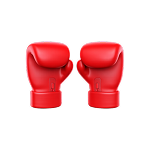 Icono del boxeo